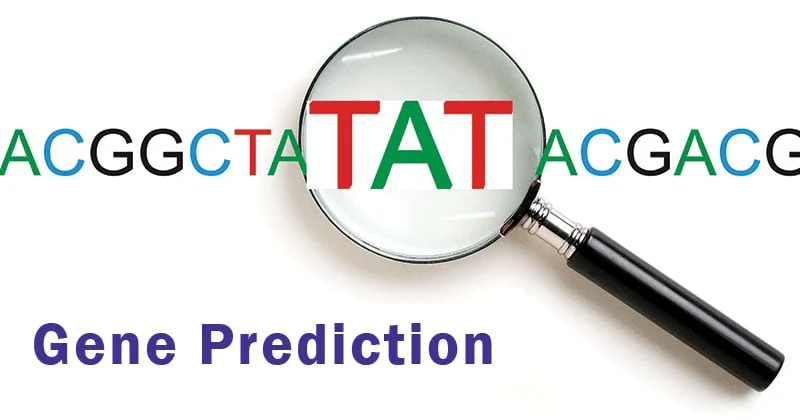 Gene Family Prediction